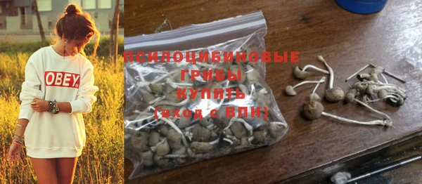 MESCALINE Новокубанск