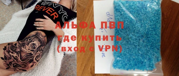 молекула духа Новозыбков