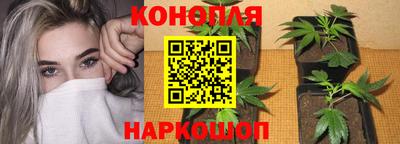 не бодяженный Будённовск