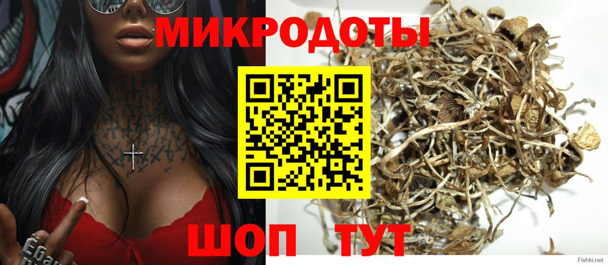 Галлюциногенные грибы мицелий Нововоронеж