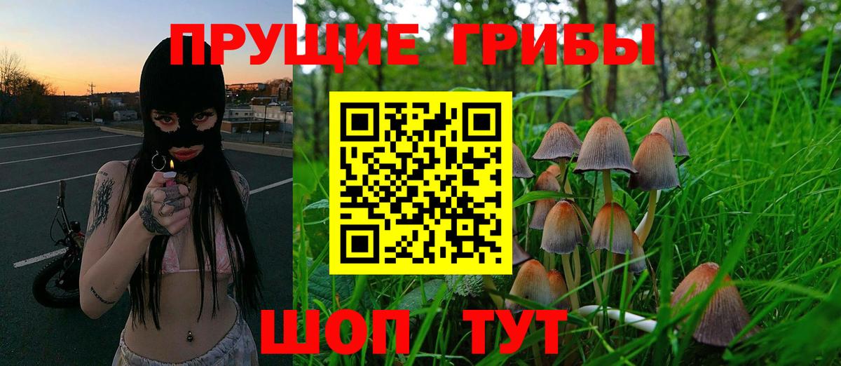 Псилоцибиновые грибы мицелий  Вход с VPN  Нововоронеж 