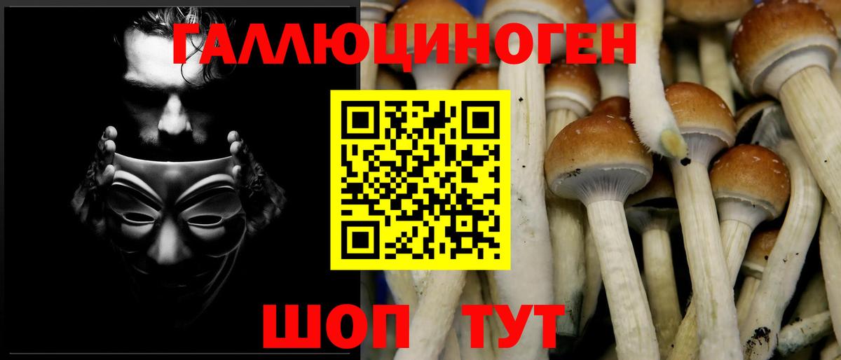 Псилоцибиновые грибы мицелий Нововоронеж
