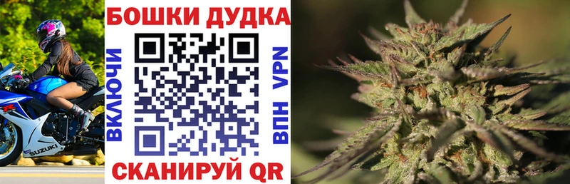 Канабис конопля  где найти   Нововоронеж 